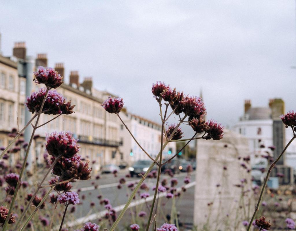 Pebble View - Cosy With Sea-views * Weymouth